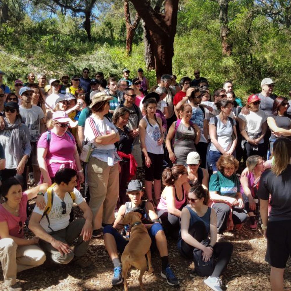 Grupo numa caminhada guiada