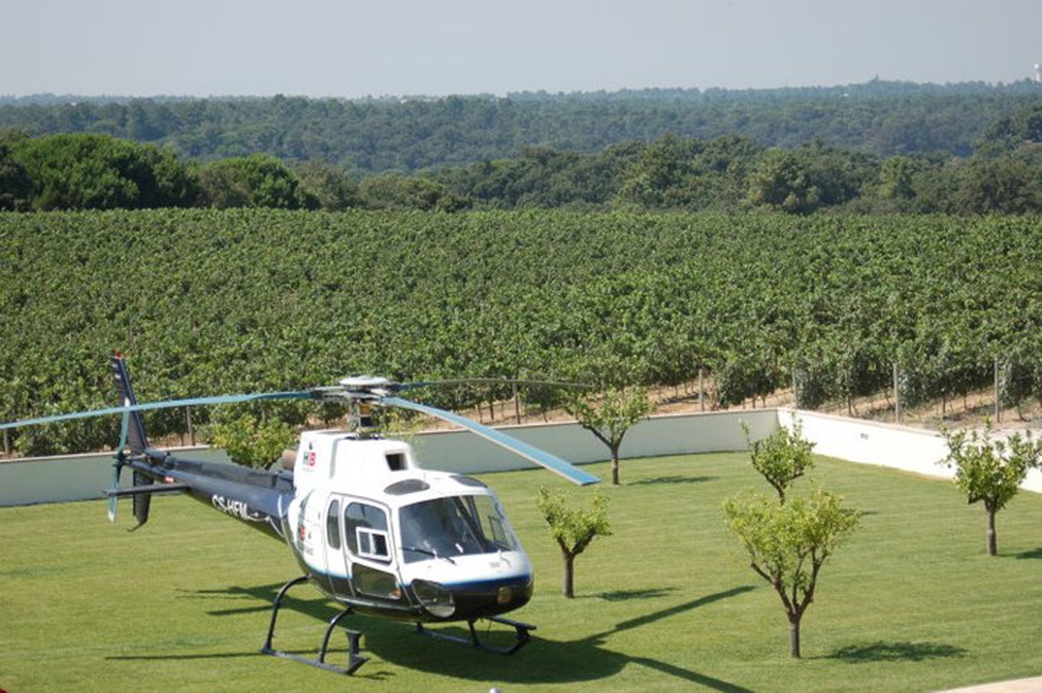 Helicóptero pousado junto à vinha
